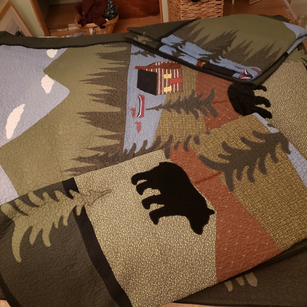 Donna Sharp Wayfair Cotton Quilts
